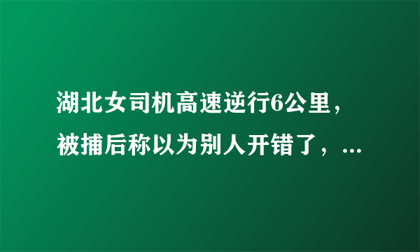 湖北女司机高速逆行6公里，被捕后称以为别人开错了，是真糊涂还是装糊涂？