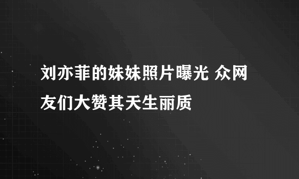 刘亦菲的妹妹照片曝光 众网友们大赞其天生丽质