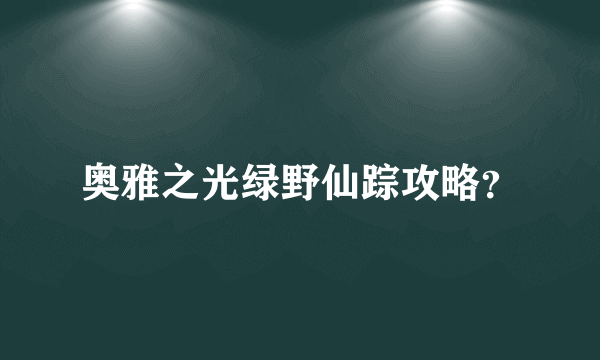 奥雅之光绿野仙踪攻略？