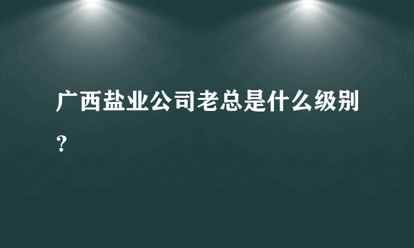 广西盐业公司老总是什么级别？