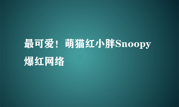 最可爱！萌猫红小胖Snoopy爆红网络