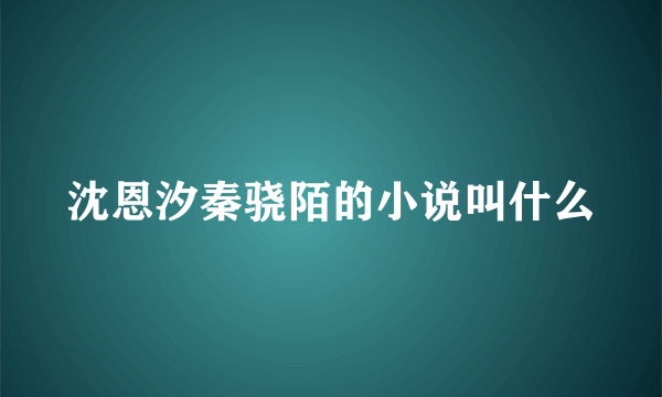 沈恩汐秦骁陌的小说叫什么