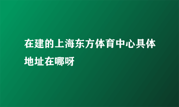 在建的上海东方体育中心具体地址在哪呀