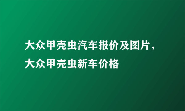 大众甲壳虫汽车报价及图片，大众甲壳虫新车价格