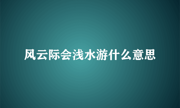 风云际会浅水游什么意思