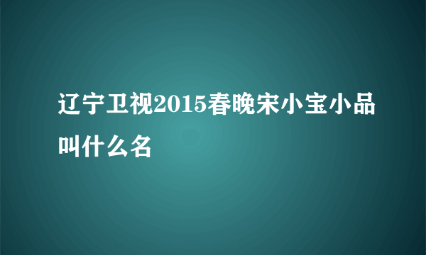 辽宁卫视2015春晚宋小宝小品叫什么名