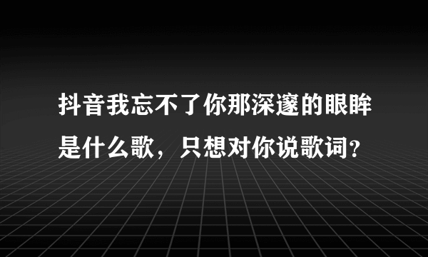 抖音我忘不了你那深邃的眼眸是什么歌，只想对你说歌词？