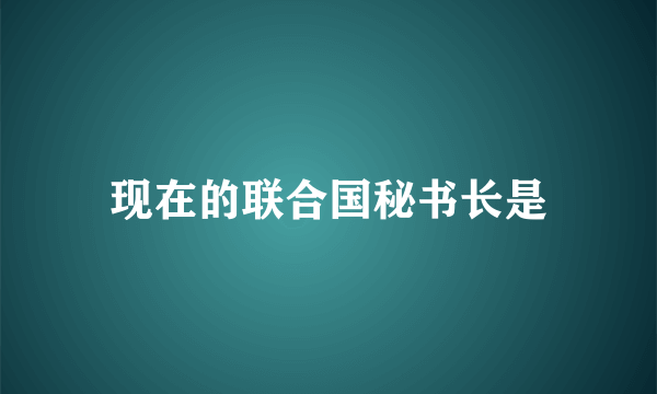 现在的联合国秘书长是