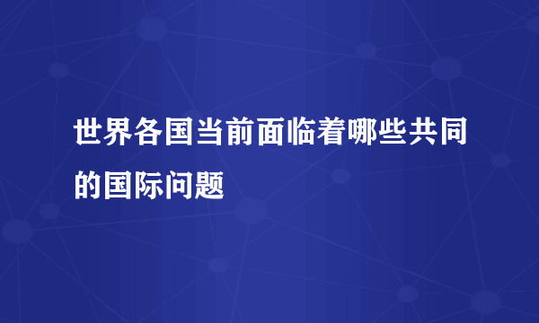 世界各国当前面临着哪些共同的国际问题