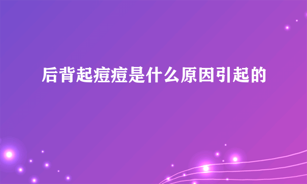 后背起痘痘是什么原因引起的