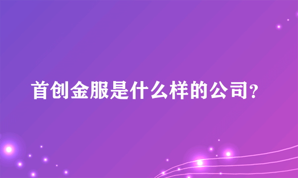 首创金服是什么样的公司？