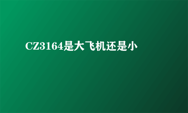 CZ3164是大飞机还是小