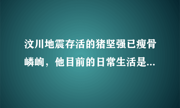 汶川地震存活的猪坚强已瘦骨嶙峋，他目前的日常生活是怎样的？