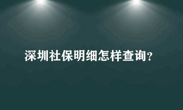 深圳社保明细怎样查询？