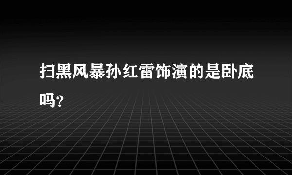 扫黑风暴孙红雷饰演的是卧底吗？