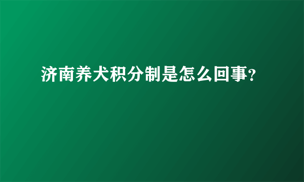 济南养犬积分制是怎么回事？