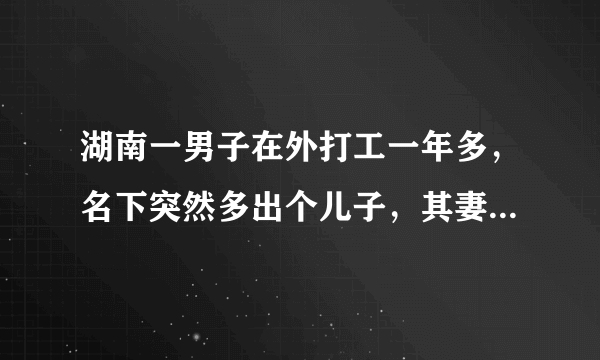 湖南一男子在外打工一年多，名下突然多出个儿子，其妻子对此有何回应？