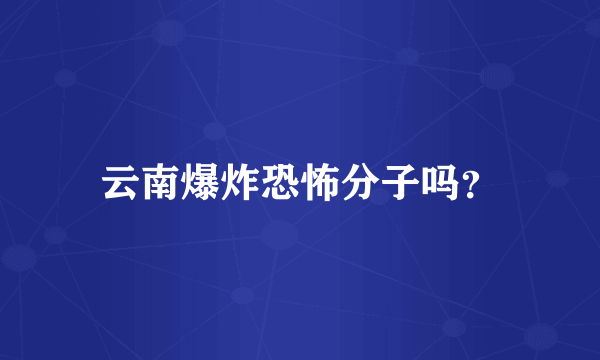 云南爆炸恐怖分子吗？