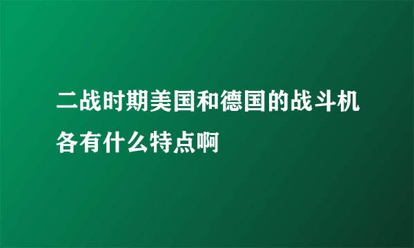 二战时期美国和德国的战斗机各有什么特点啊