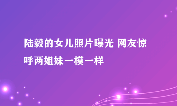 陆毅的女儿照片曝光 网友惊呼两姐妹一模一样