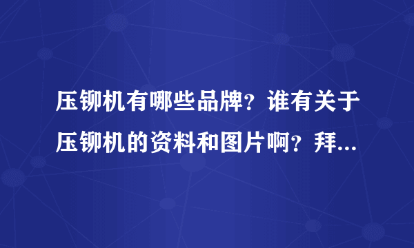 压铆机有哪些品牌？谁有关于压铆机的资料和图片啊？拜托了各位 谢谢