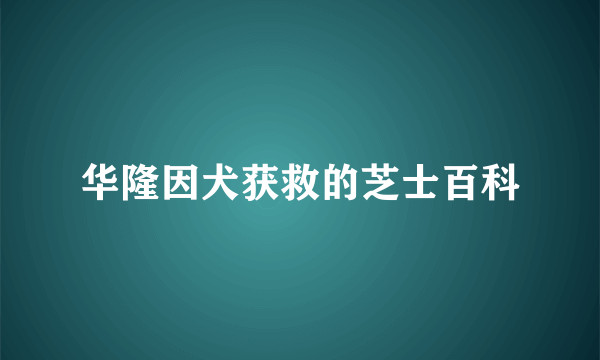 华隆因犬获救的芝士百科