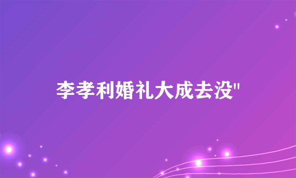 李孝利婚礼大成去没