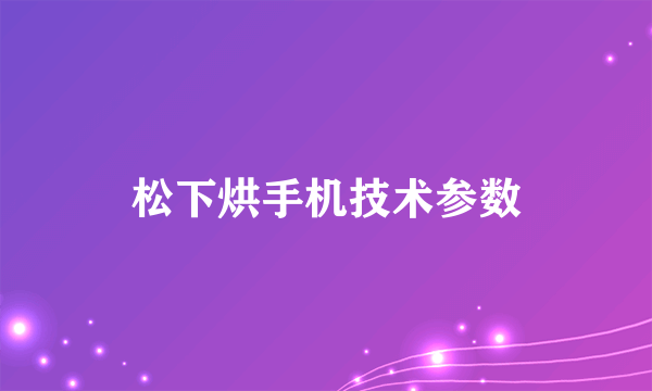 松下烘手机技术参数