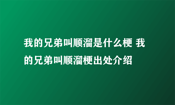 我的兄弟叫顺溜是什么梗 我的兄弟叫顺溜梗出处介绍