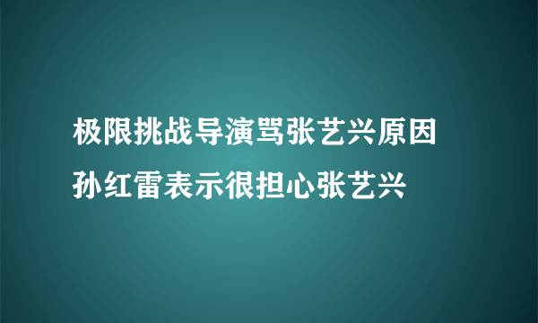 极限挑战导演骂张艺兴原因 孙红雷表示很担心张艺兴