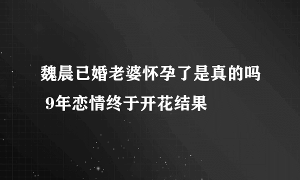 魏晨已婚老婆怀孕了是真的吗 9年恋情终于开花结果