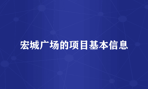 宏城广场的项目基本信息