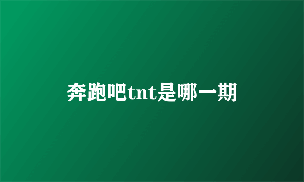 奔跑吧tnt是哪一期