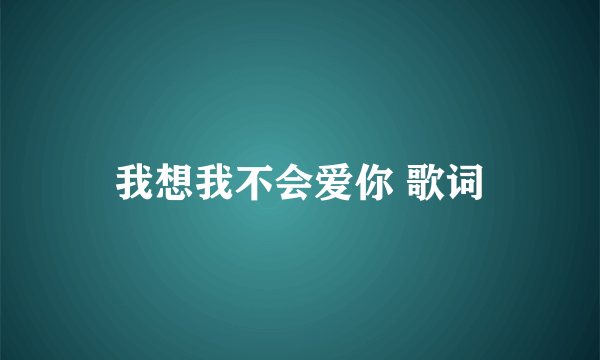 我想我不会爱你 歌词