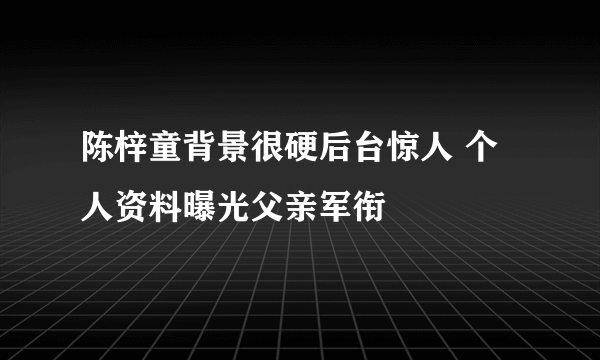 陈梓童背景很硬后台惊人 个人资料曝光父亲军衔