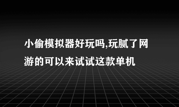 小偷模拟器好玩吗,玩腻了网游的可以来试试这款单机