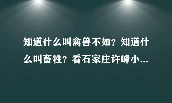 知道什么叫禽兽不如？知道什么叫畜牲？看石家庄许峰小夫妻给大家做示范谢谢了，大神帮忙啊