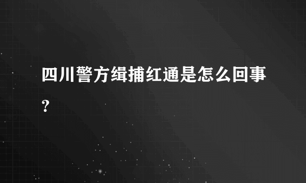 四川警方缉捕红通是怎么回事？