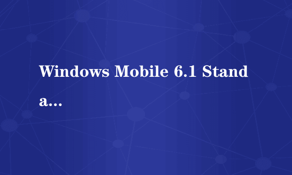 Windows Mobile 6.1 Standard和Windows Mobile 6.1 professional有什么区别吗