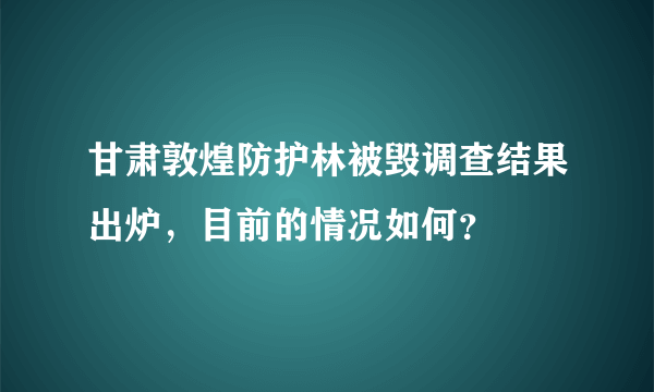 甘肃敦煌防护林被毁调查结果出炉，目前的情况如何？