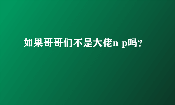 如果哥哥们不是大佬n p吗？