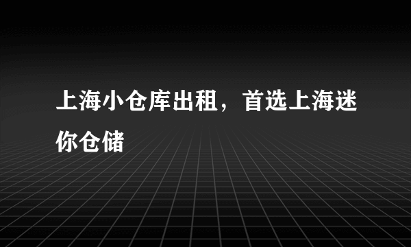 上海小仓库出租，首选上海迷你仓储