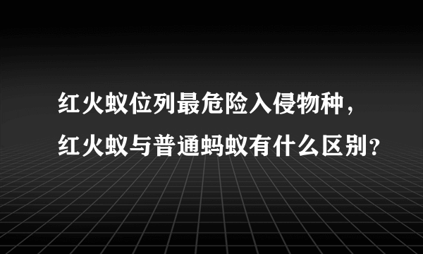 红火蚁位列最危险入侵物种，红火蚁与普通蚂蚁有什么区别？