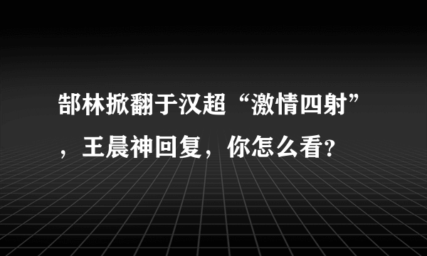 郜林掀翻于汉超“激情四射”，王晨神回复，你怎么看？