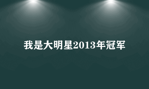 我是大明星2013年冠军