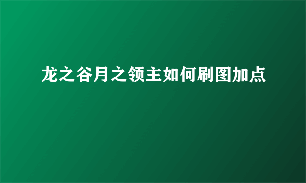 龙之谷月之领主如何刷图加点