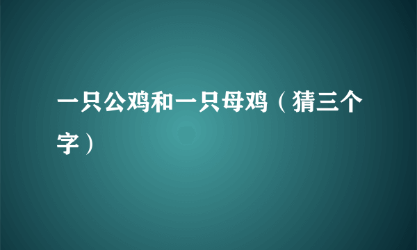 一只公鸡和一只母鸡（猜三个字）