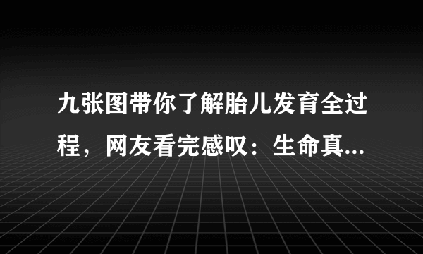 九张图带你了解胎儿发育全过程，网友看完感叹：生命真的太神奇了