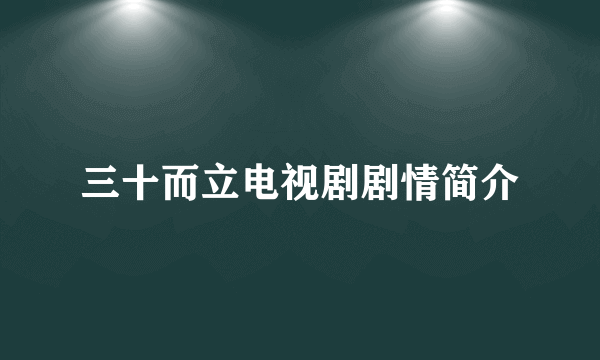 三十而立电视剧剧情简介