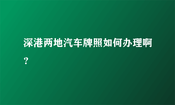 深港两地汽车牌照如何办理啊？